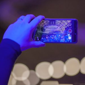 Полюса. Оранжерея Таврического сада. 3 января 2020г
