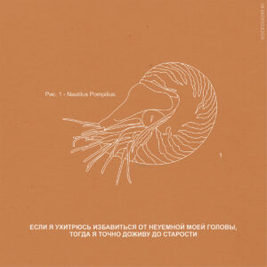 Цитаты из песен группы Nautilus Pompilius