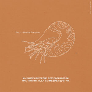 Цитаты из песен группы Nautilus Pompilius
