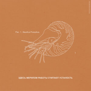 Цитаты из песен группы Nautilus Pompilius
