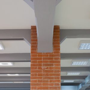 Телеком СПб