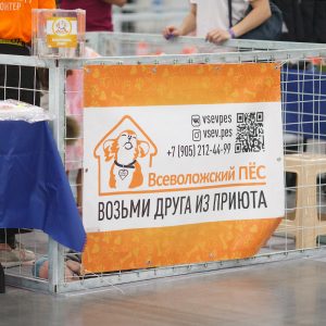«Город собак», «Экспофорум» 2022